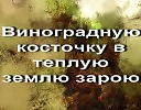 В землю зарою. Виноградную косточку в теплую землю зарою грузинка и немец. Виноградную косточку в тёплую землю зарою слова ПАТОР слов. Виноградную косточку в теплую землю зарою текст смысл. Севара Виноградная косточка текст песни Булат.