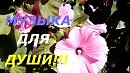 Грищук музыка для души. Сергей душа. Музыка для души Сергей. Сергей Грищук Eternity.