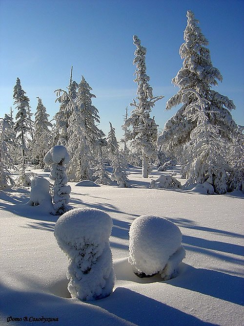 Картинки суровая зима