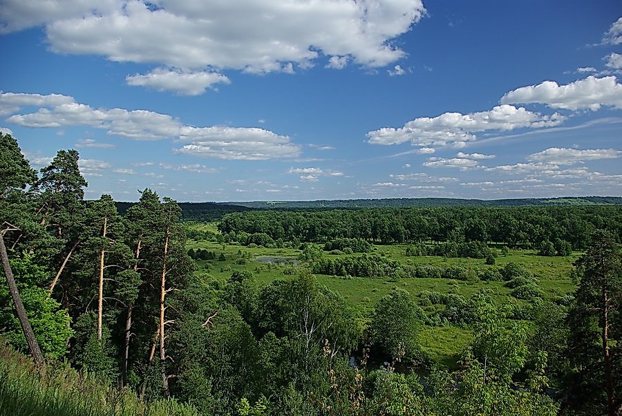 Поселок решетиха нижегородская. Решетиха Нижегородская область. Посёлок Решетиха Нижегородская область.