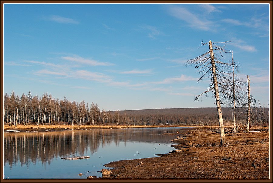 Весенний сев фото