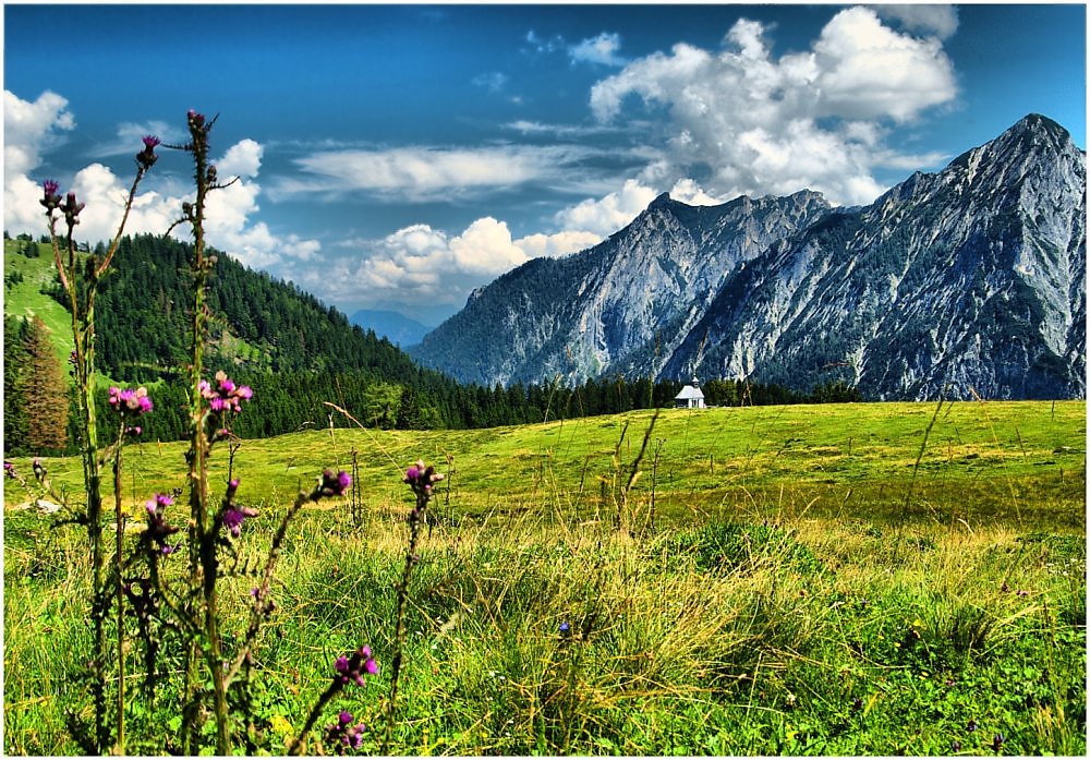 Австрийские луга фото