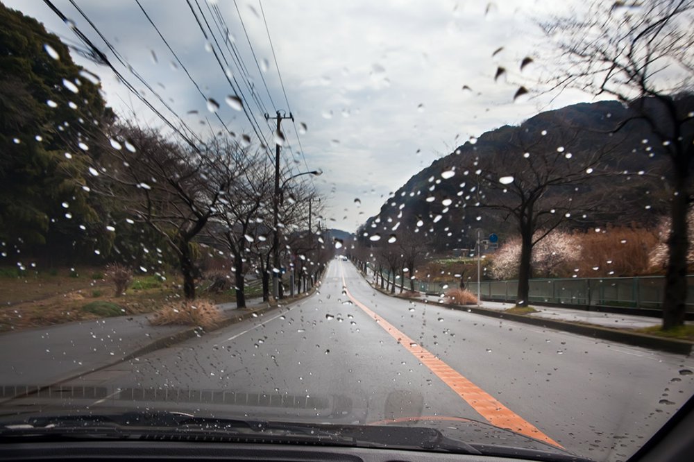 Фото в дороге из машины весной