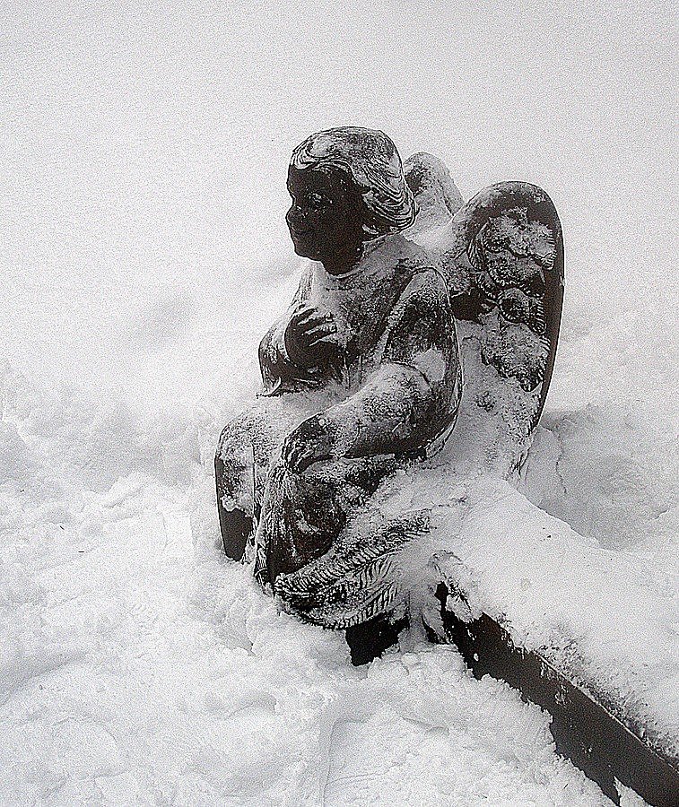 Фото Уставшего Ангела