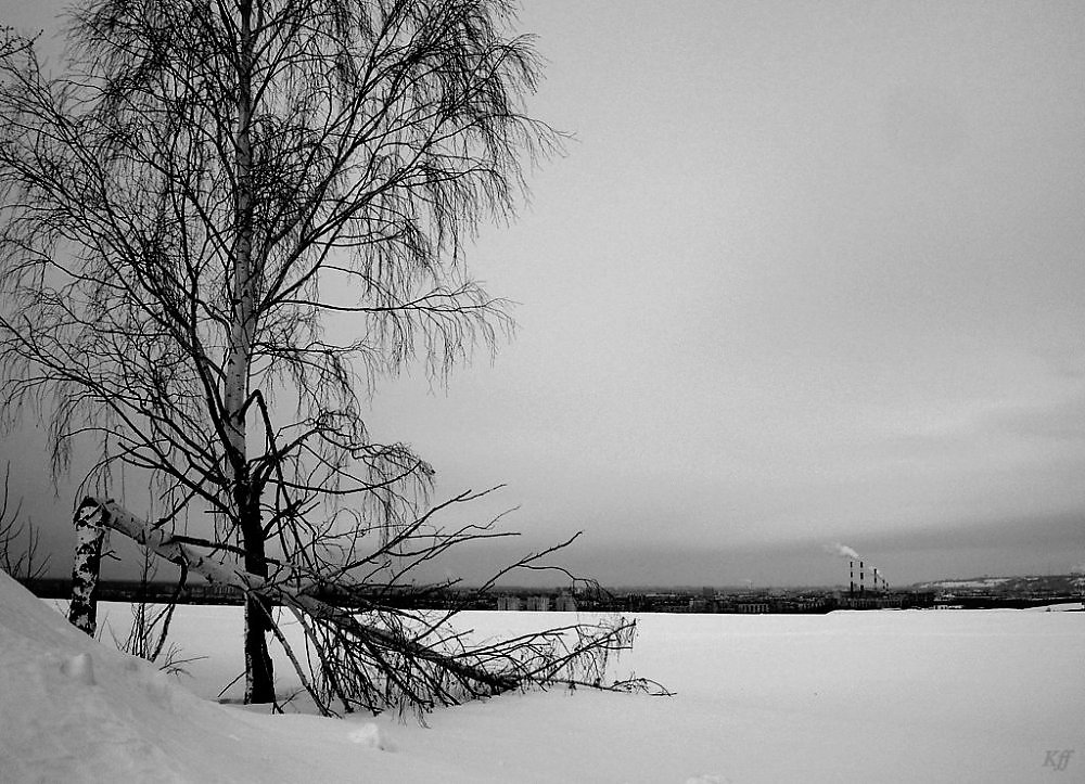 Черно белая зима. Пейзаж черно белый зима. Зимний чернобелый Песаж. Зимний пейзаж чёрно белый.