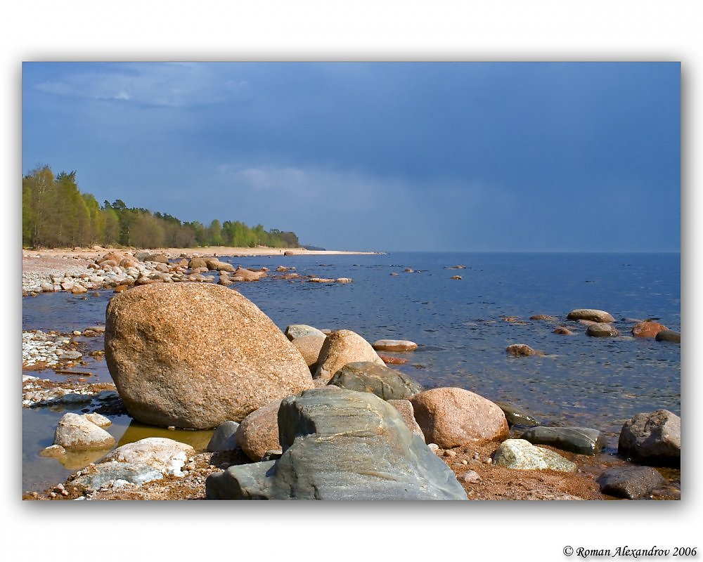 Картина побережье финского залива