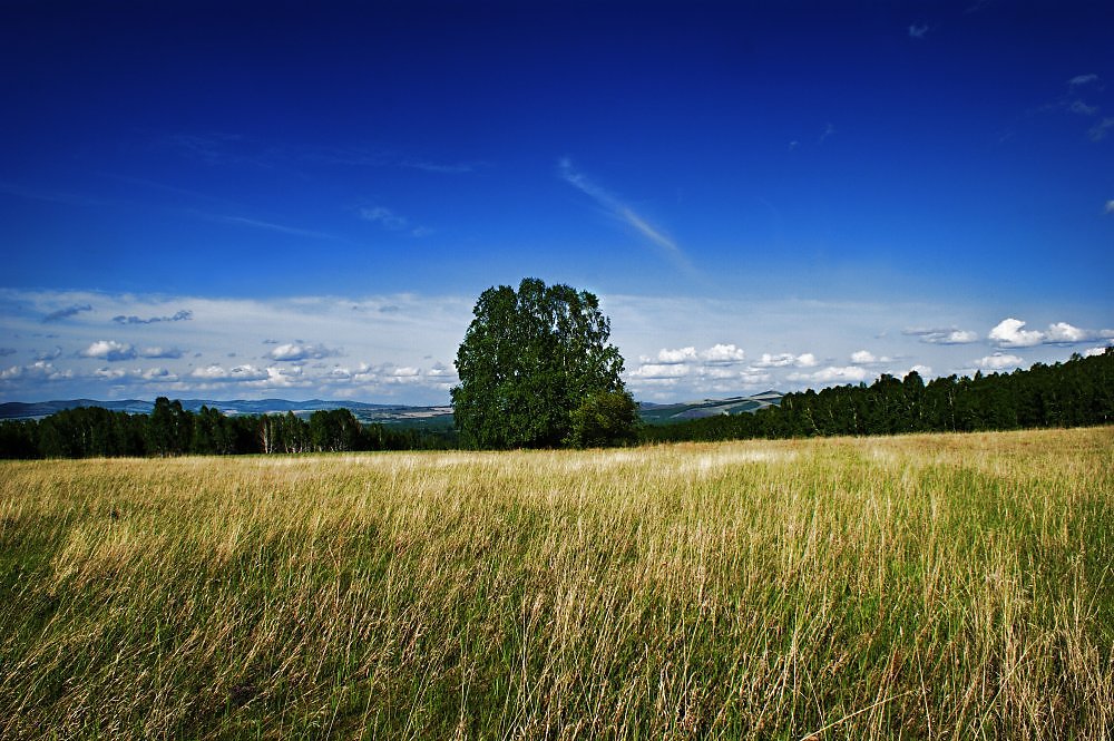 Без края