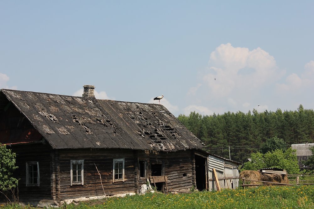 Дер старая индекс