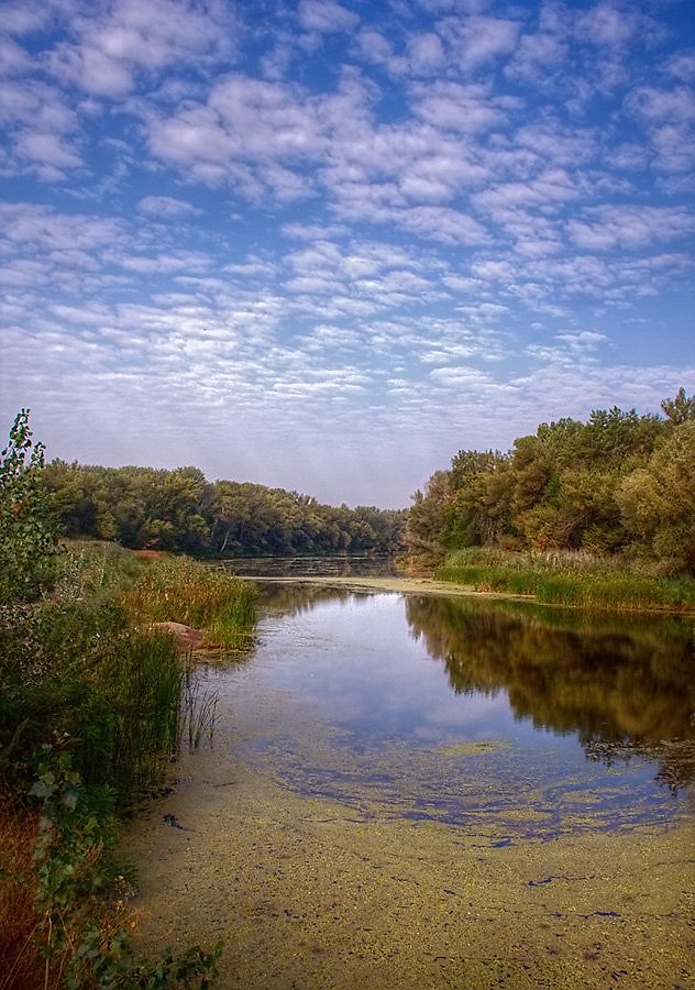 Плавни реки