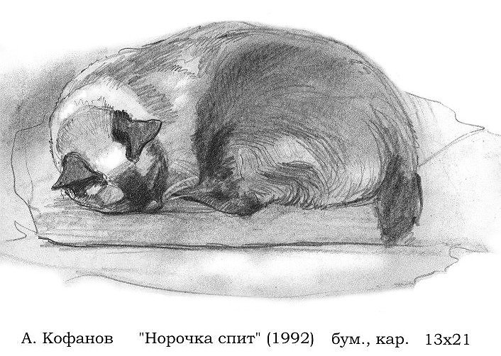 Рисунок лежащей кошки карандашом