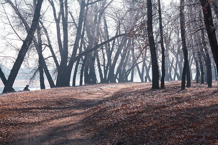 Седьмая осень