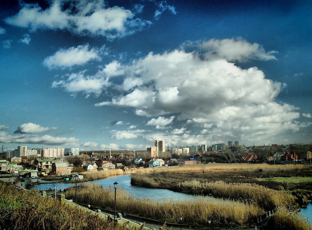 Фото темерника в ростове