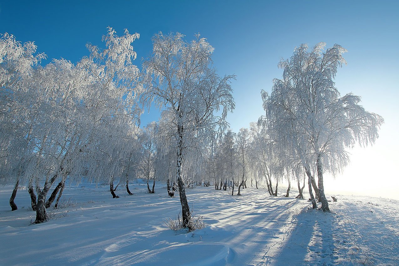 Башкирия зимой. Природа Башкирии зима. Башкирская природа зимой. Зимние пейзажи Башкирии. З-имний пкйзаж Башкортостана.