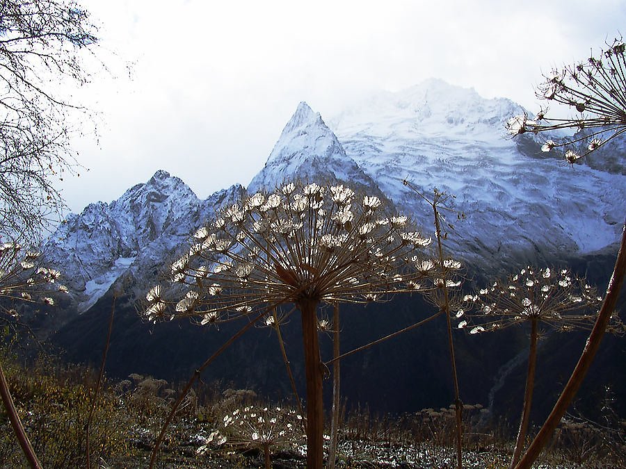 Весна на домбае фото