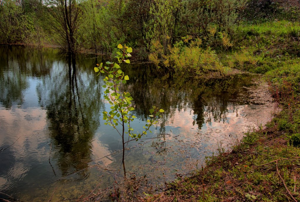 Жмуркина заводь фото