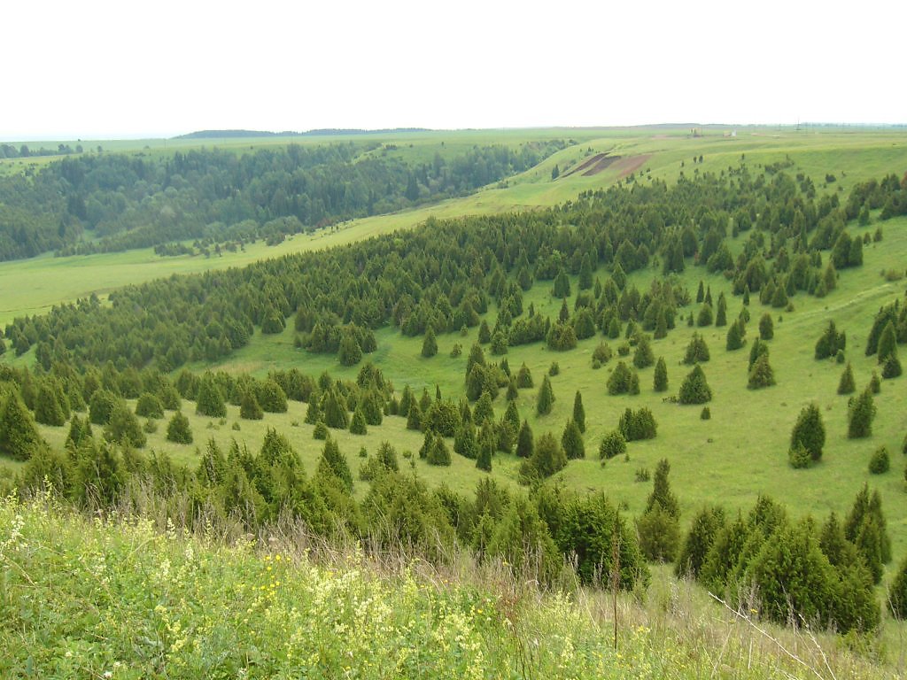 Заповедник Шаркан Удмуртия