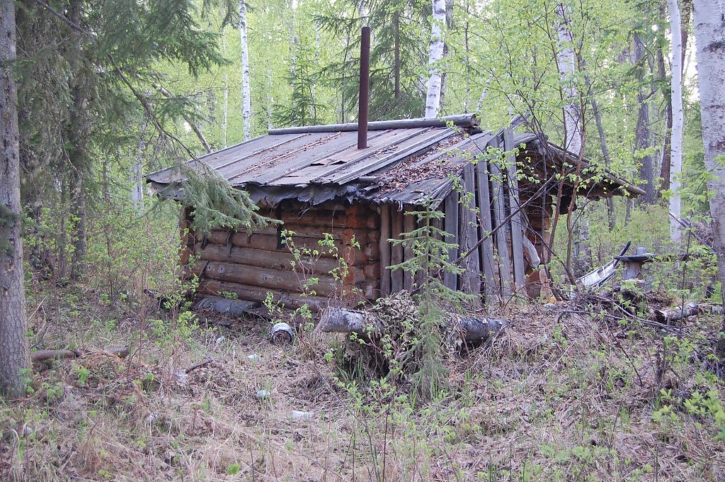 Страшная Ночь В Зимовье В Лесу Фото