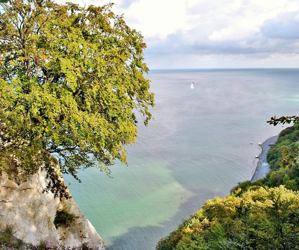 Лукоморье фото. Лукоморье Карелия. Лукоморье залив. Лукоморье это морской залив. Лукоморье море.