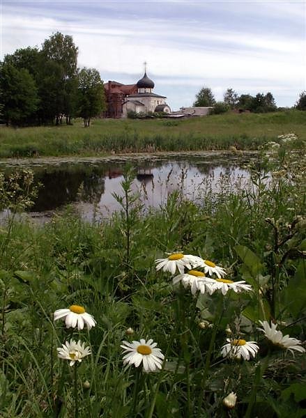 Картинки ромашковая русь