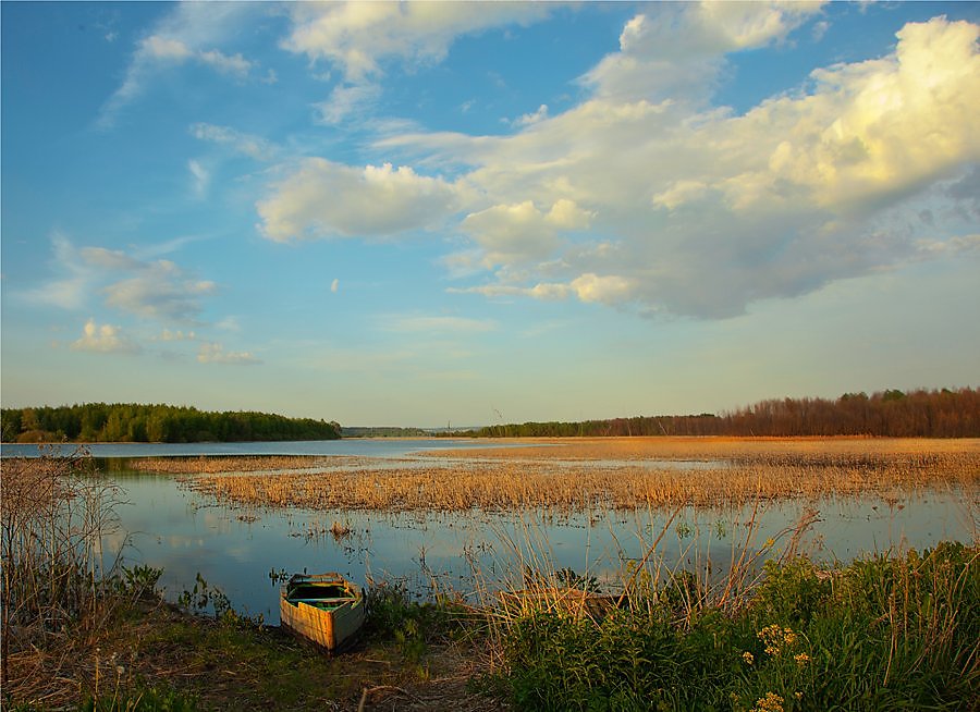 Река свияга фото