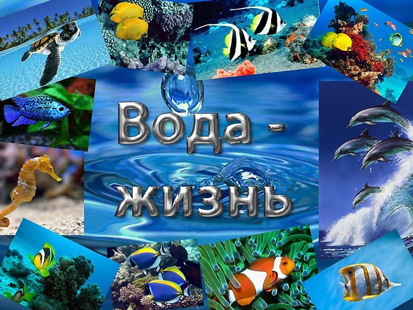 коллаж вода, коллаж на тему вода, коллаж мир воды, плакат вода источник жизни