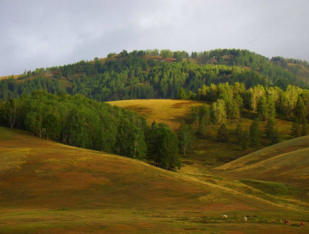 Верхний край