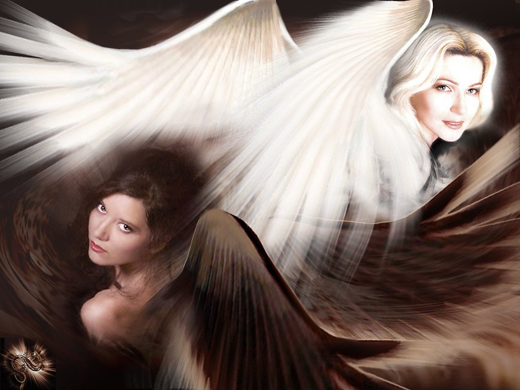 Фото черный ангел белый ангел
