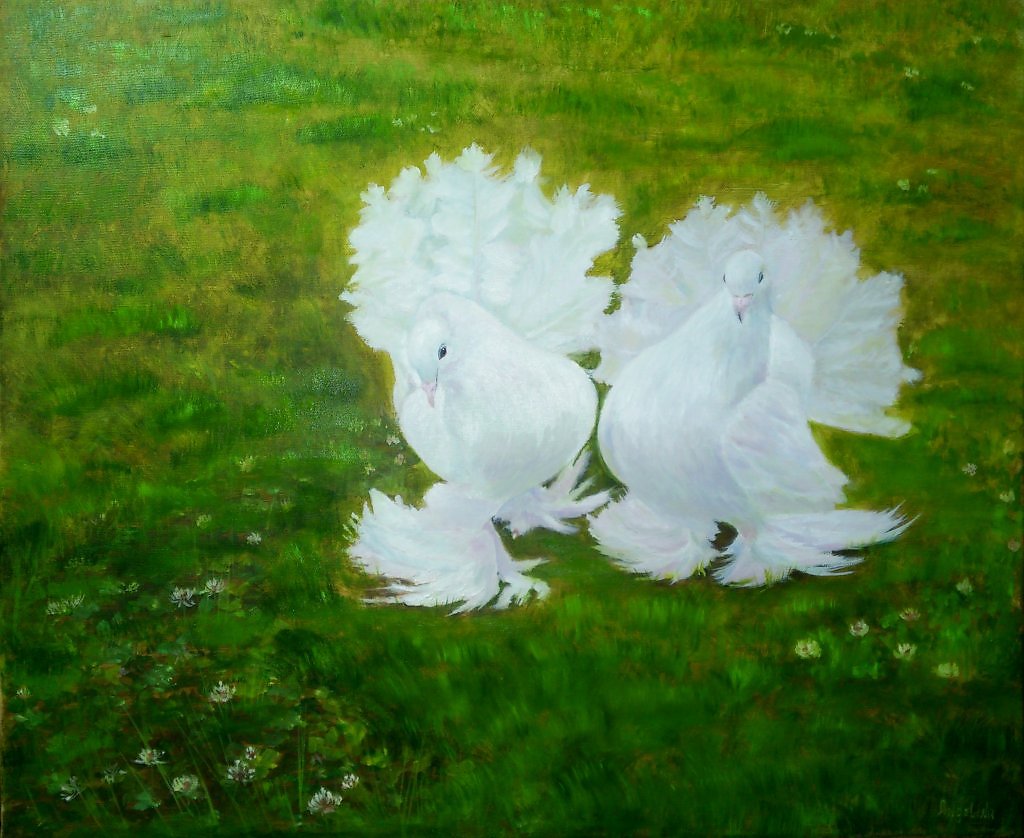 Белые статные голуби