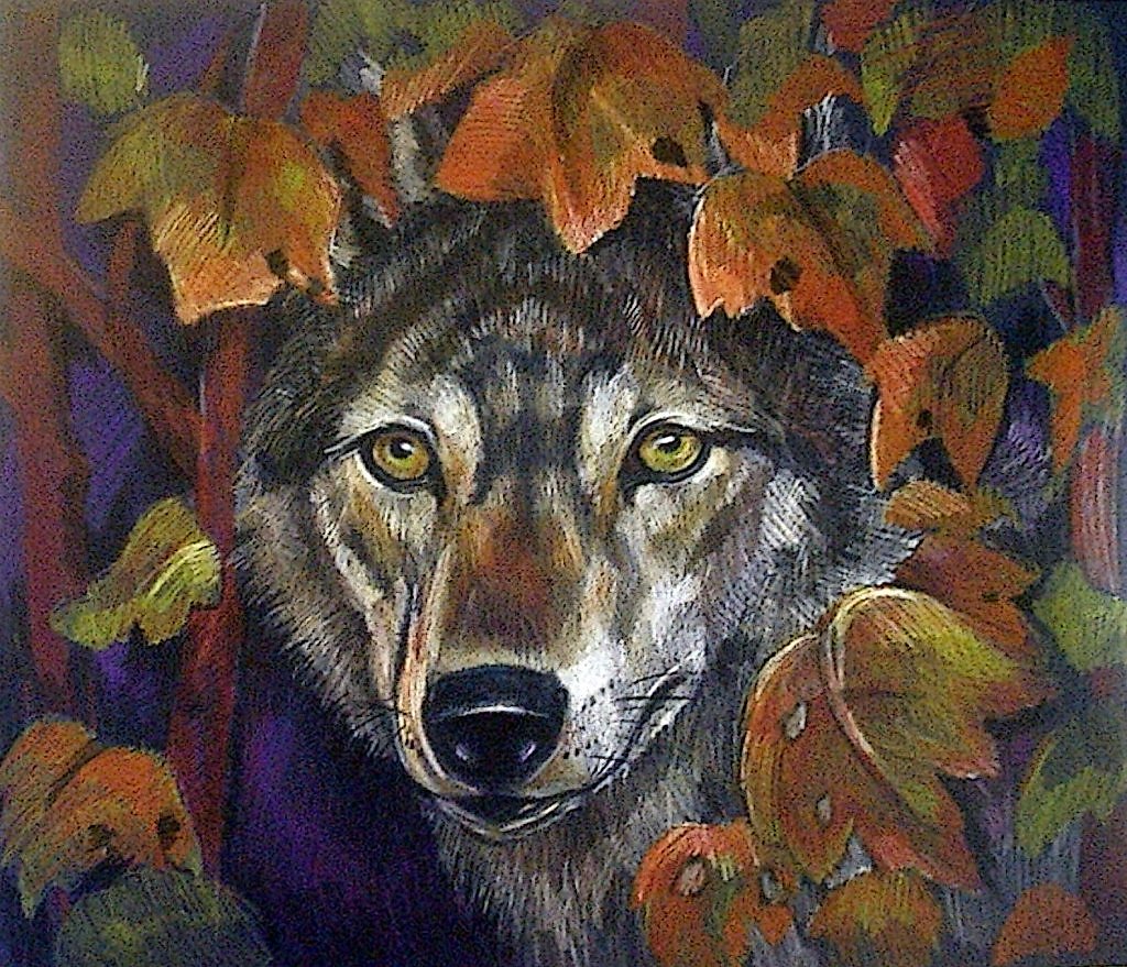 Волк цветными карандашами