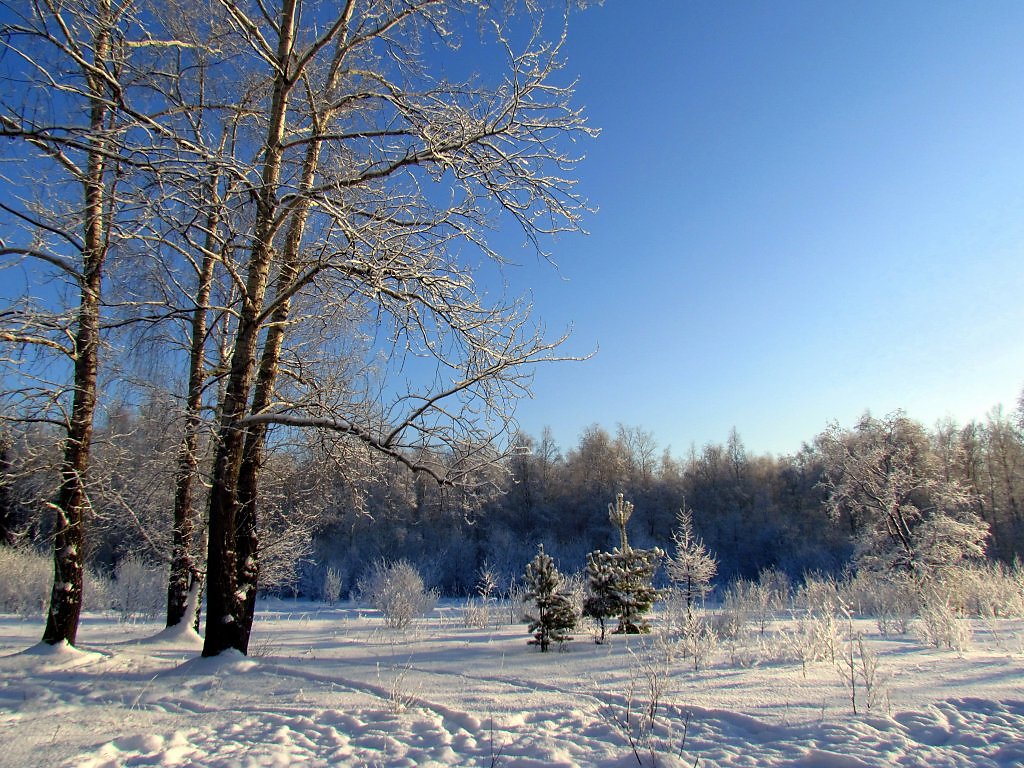 Зимний уральск