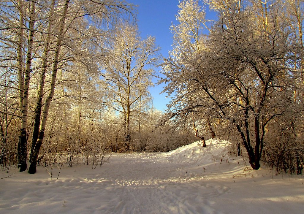 Зимний уральск