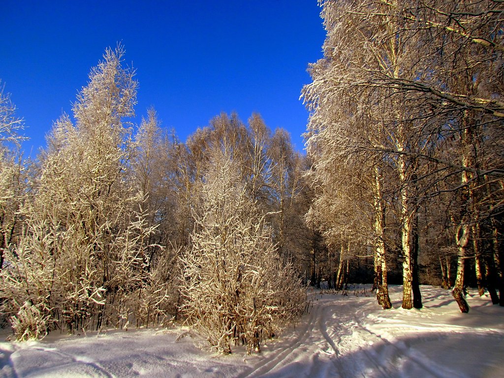 Зимний Уральский пейзаж