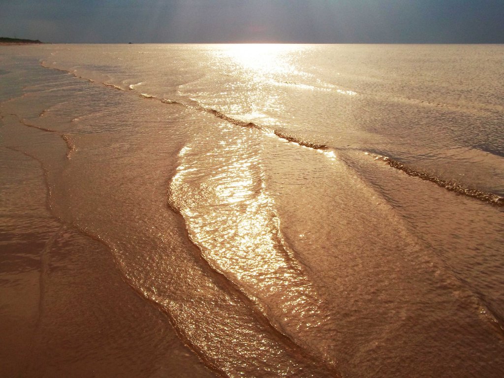 Золотом песке. Золотое море. Море золотой песок. Море золота. Золотистое море.