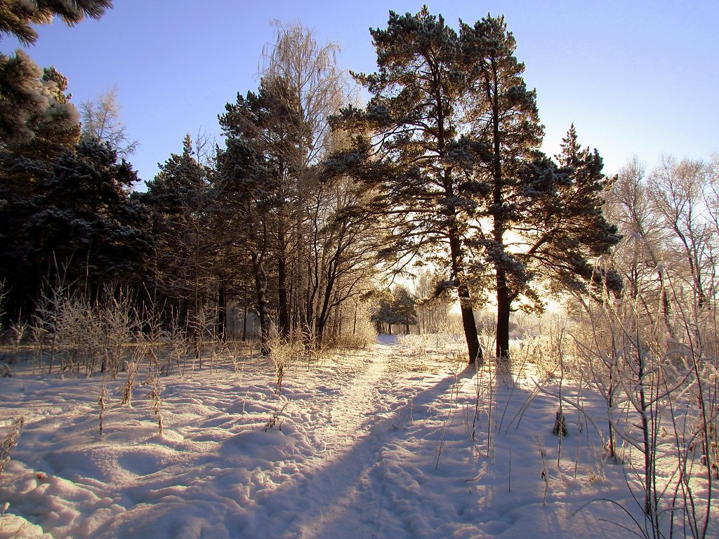 Зимний уральск