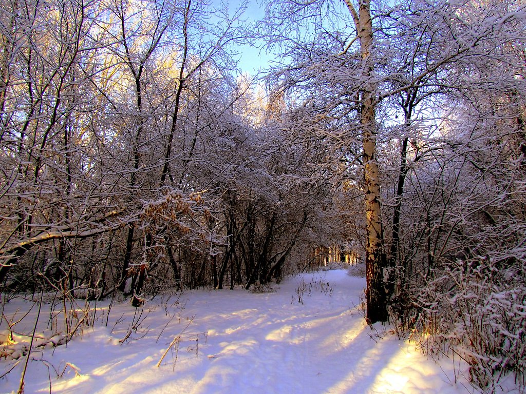 Зимний уральск