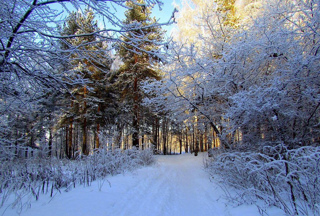 Уральск зимой