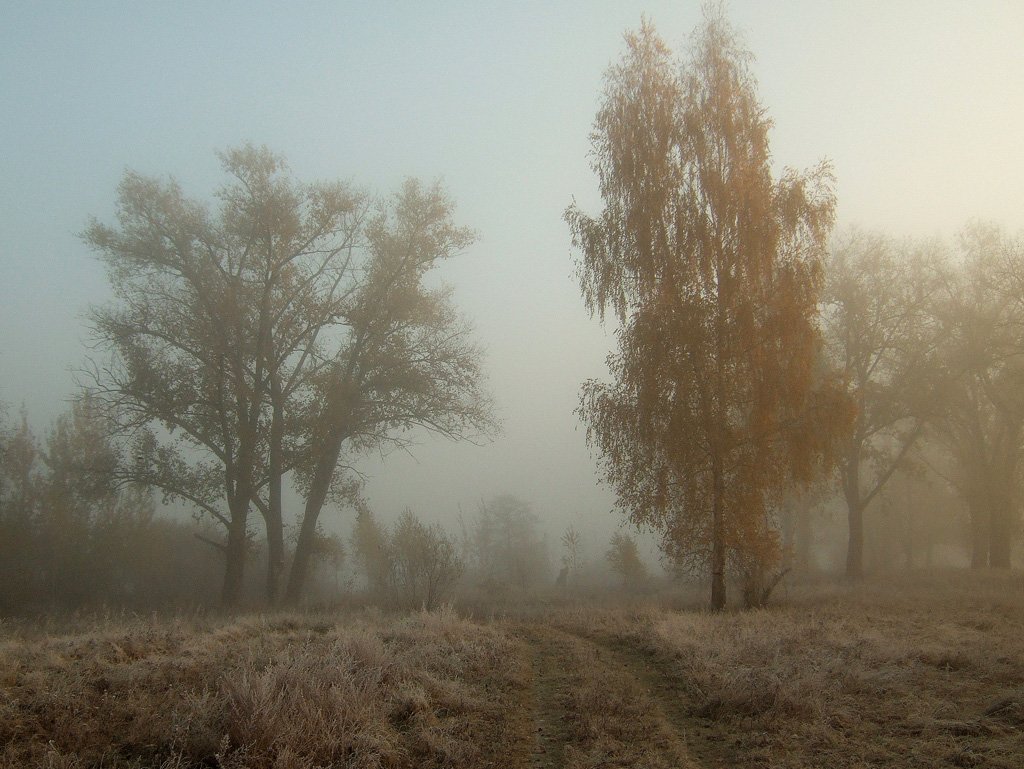 Хмурое утро картина