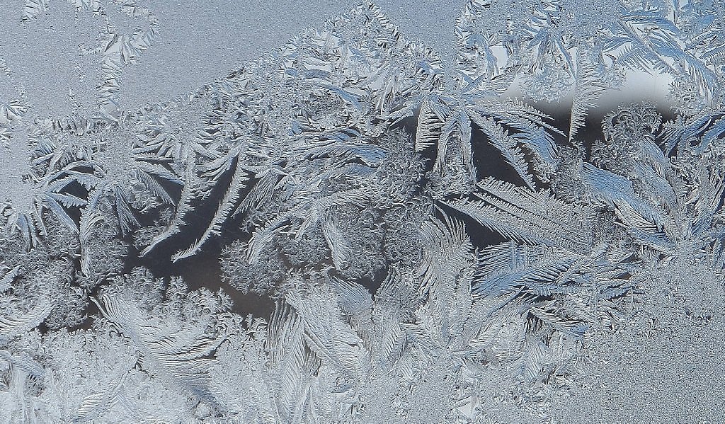 Морозные кружева. Зимние кружева. Зимнее кружево. Мороз и кружево. Ледяные кружева.