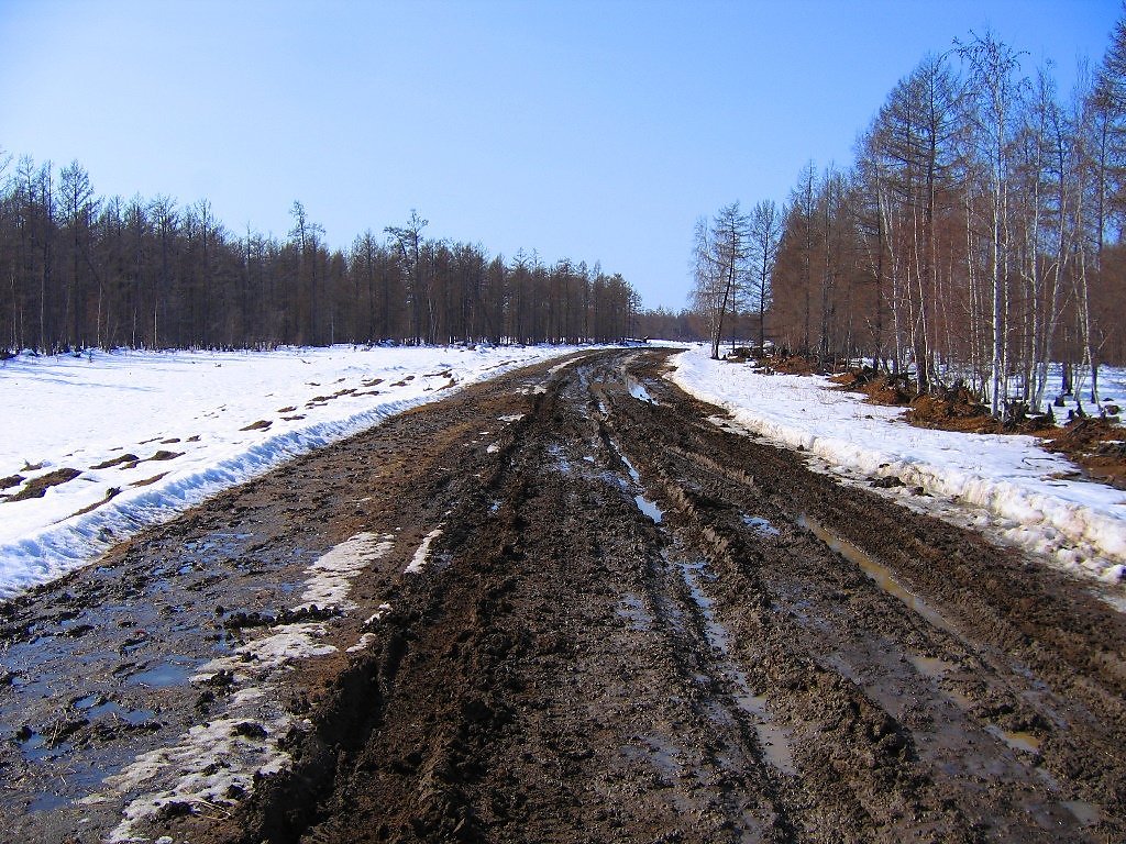 Весенняя каша на нашей дороге