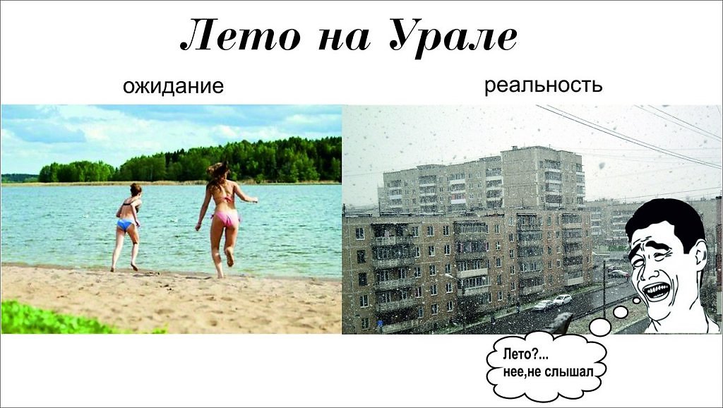 Планы на лето шутка