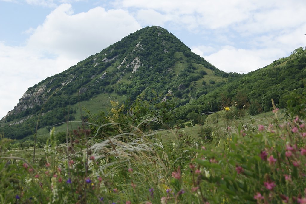 Верблюд гора картинки