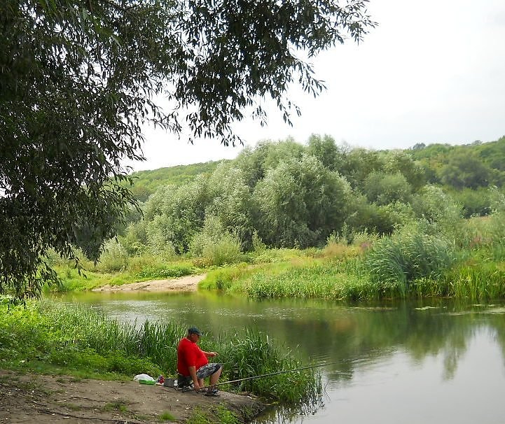 Красный клев. Красный Рыбак.