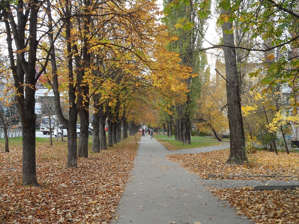 Чебоксары Осенью Фото