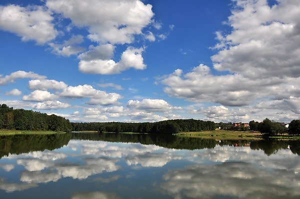 Людиново озеро ломпадь фото