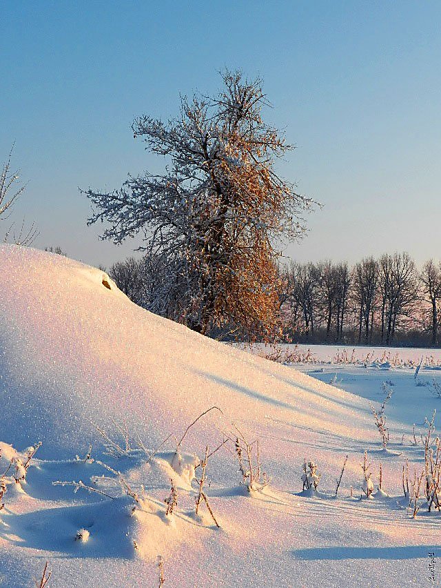 Волшебница зима