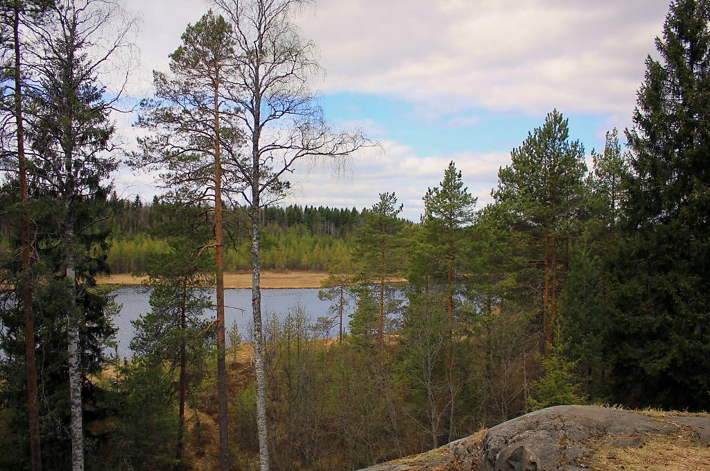 Ламбушки карелии фото