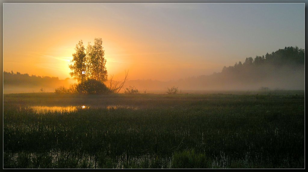 Утро май фото