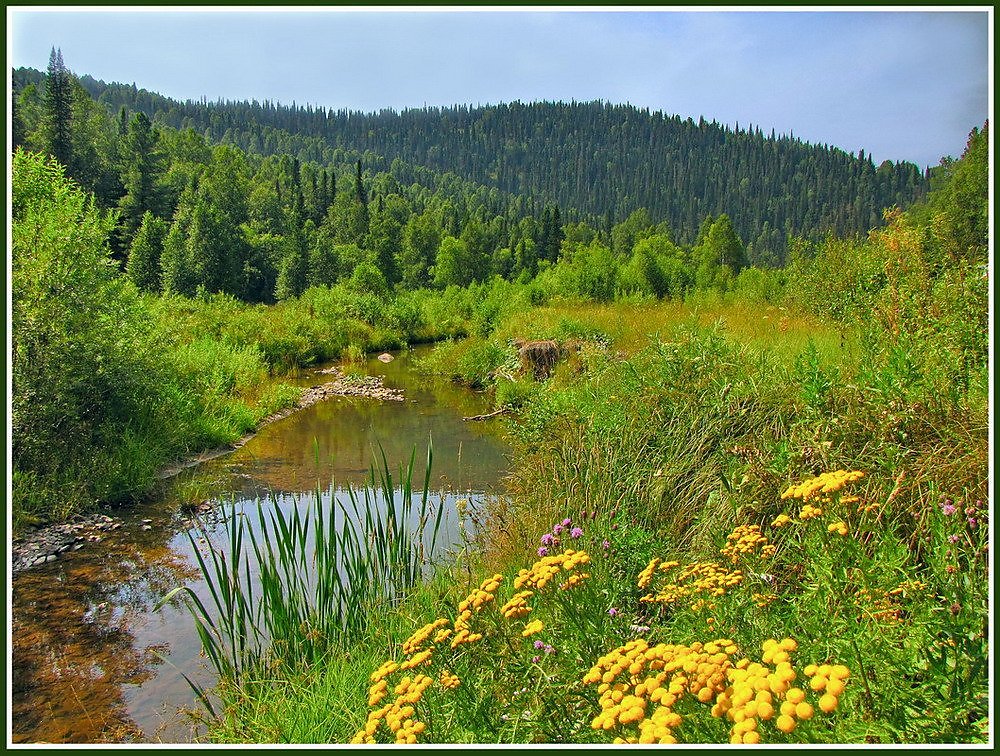 Карта сибирские просторы