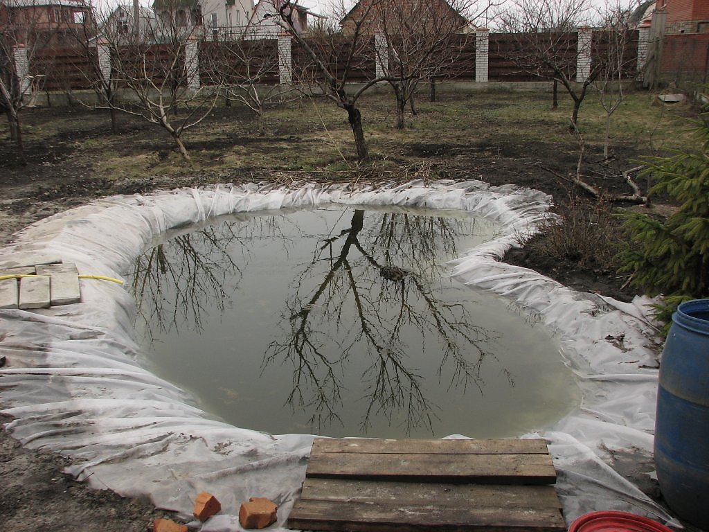 Графский пруд суть. Для домашних животных пруд. Домашний пруд голосование. Графский пруд Крым. Домашний пруд воняет.