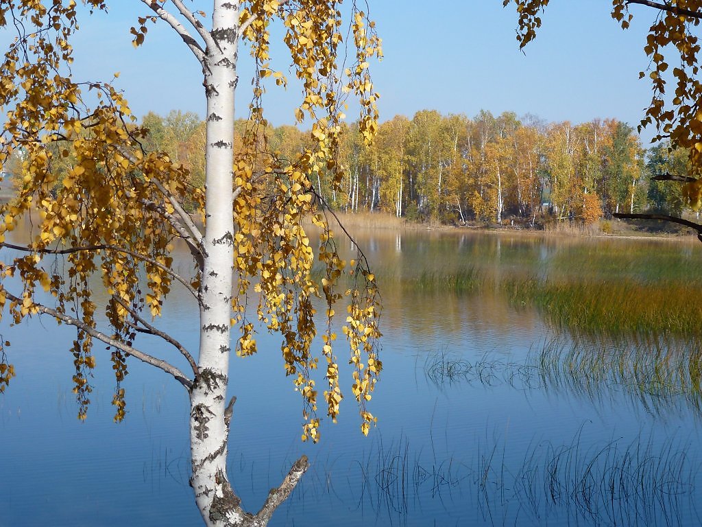 Озеро ранней осенью